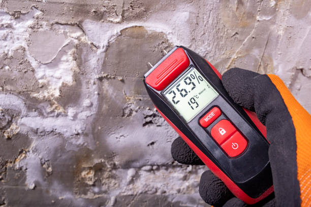 Best Mold Remediation  in Marina Del Rey, CA