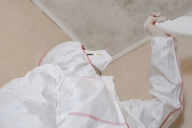 Best Mold Testing  in Marina Del Rey, CA